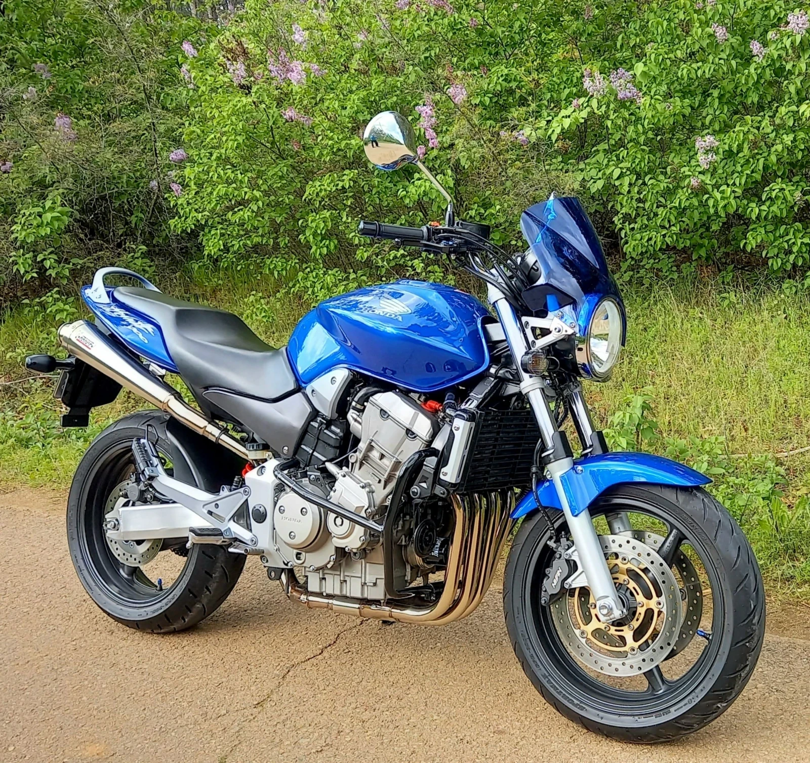 Honda Hornet 900 - изображение 2