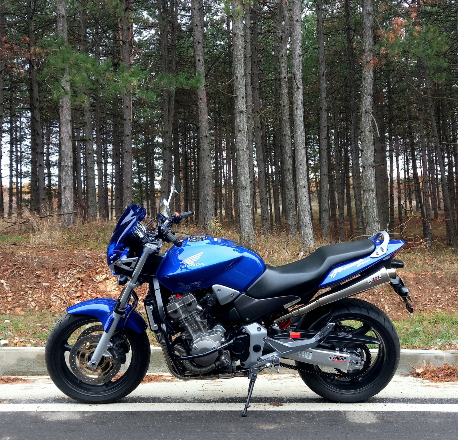 Honda Hornet 900 - изображение 5