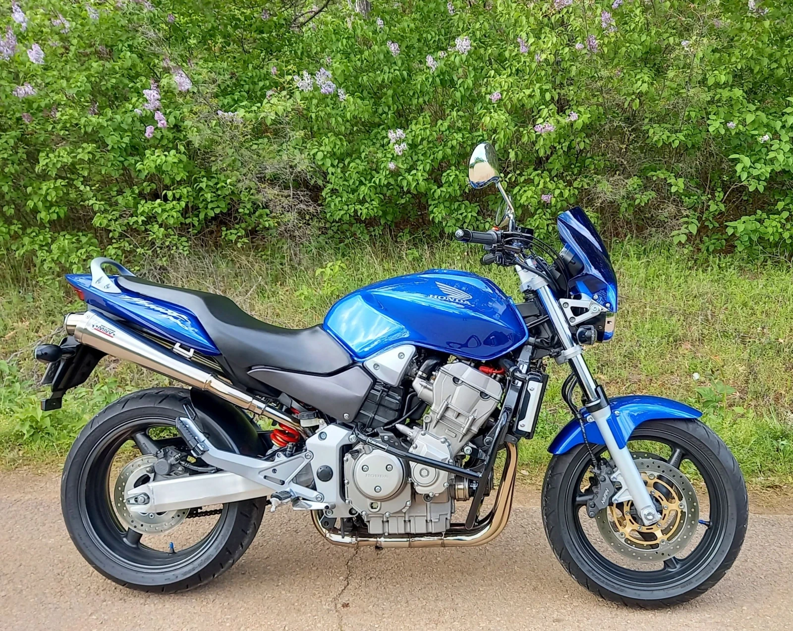 Honda Hornet 900 - изображение 3