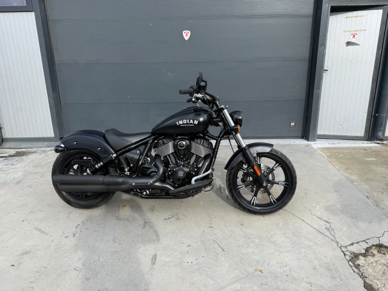 Indian Chief Dark horse  116