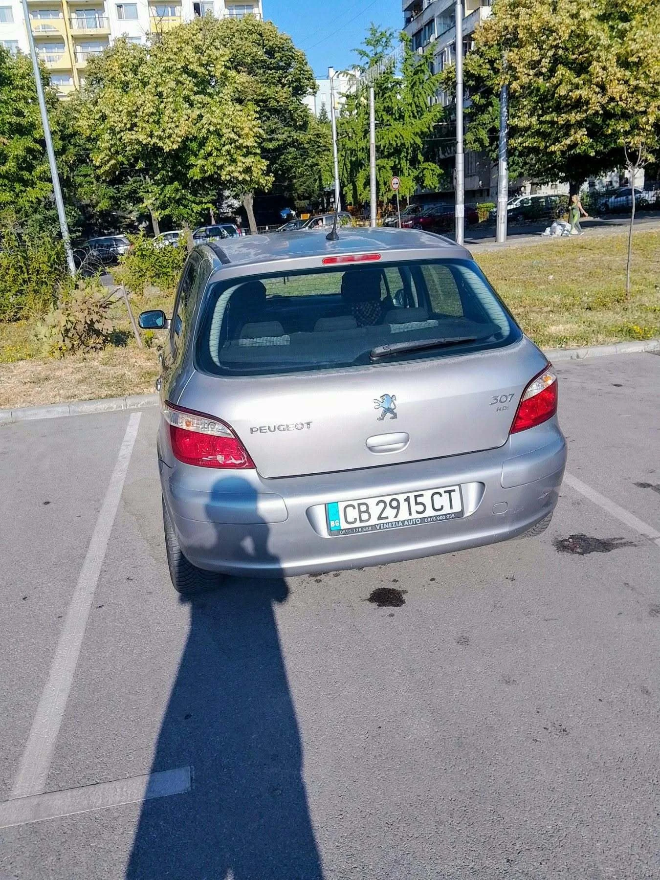 Peugeot 307 1.4, снимка 6 - Автомобили и джипове - 56259983