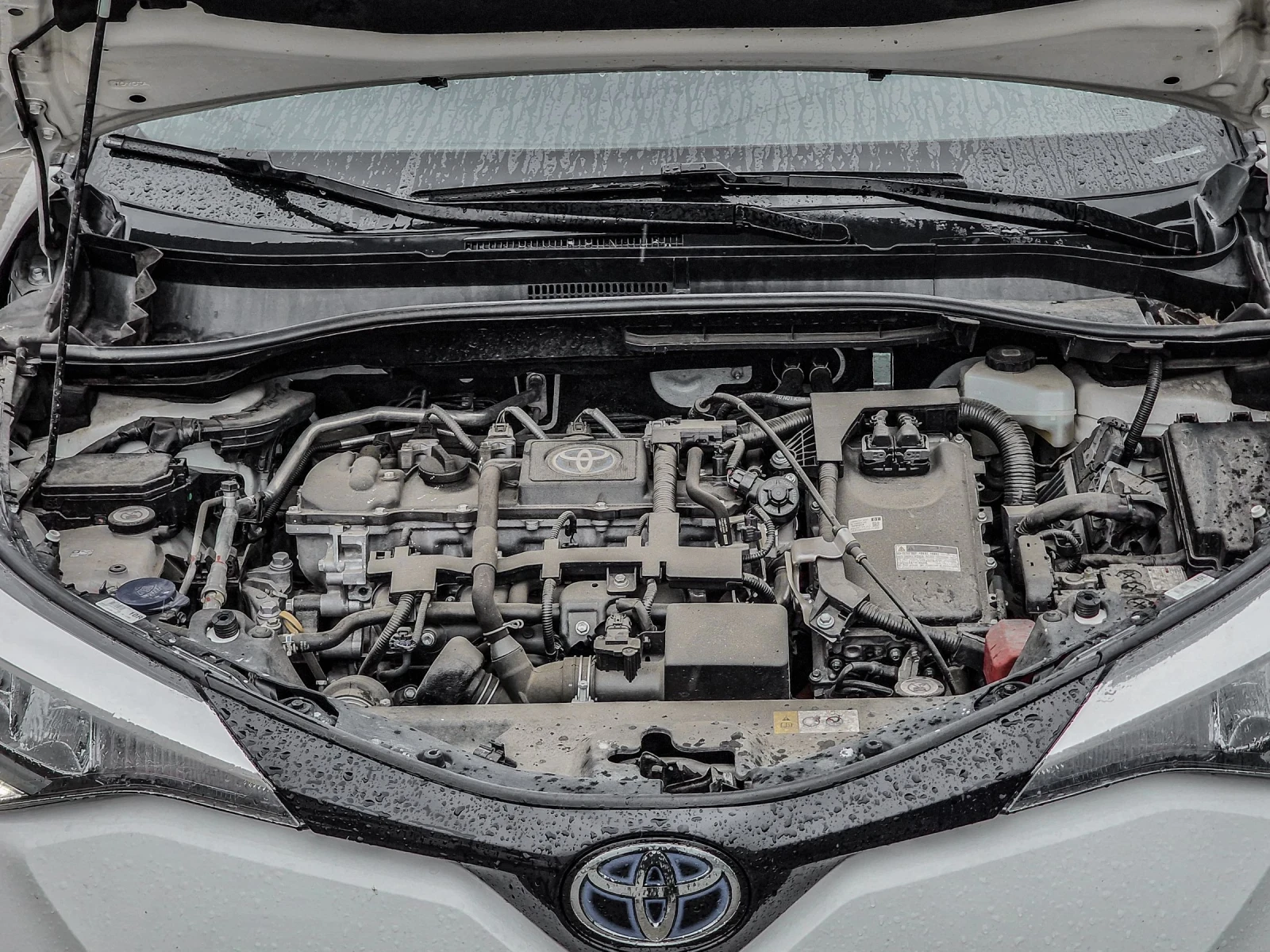 Toyota C-HR Facelift Hybrid e-CVT | Mobile.bg   16