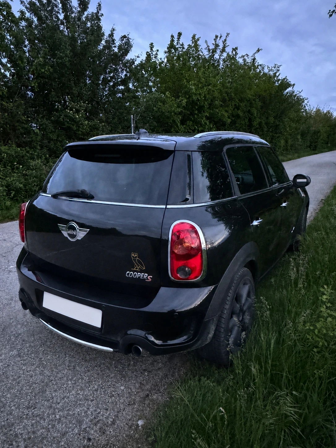 Mini Countryman Cooper S All4, снимка 7 - Автомобили и джипове - 55315886