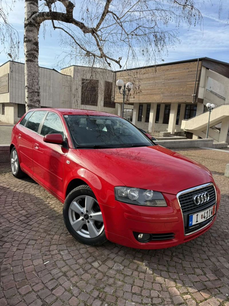 Audi A3 Sportback 1.9TDI 105 HP 2007 ОБСЛУЖЕНА!!! 4.1/100, снимка 1 - Автомобили и джипове - 48774194