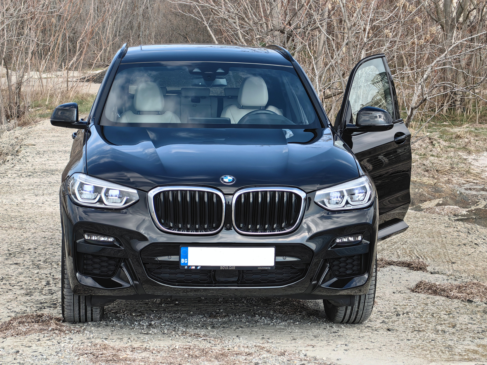BMW X3 G01 3.0i - изображение 1