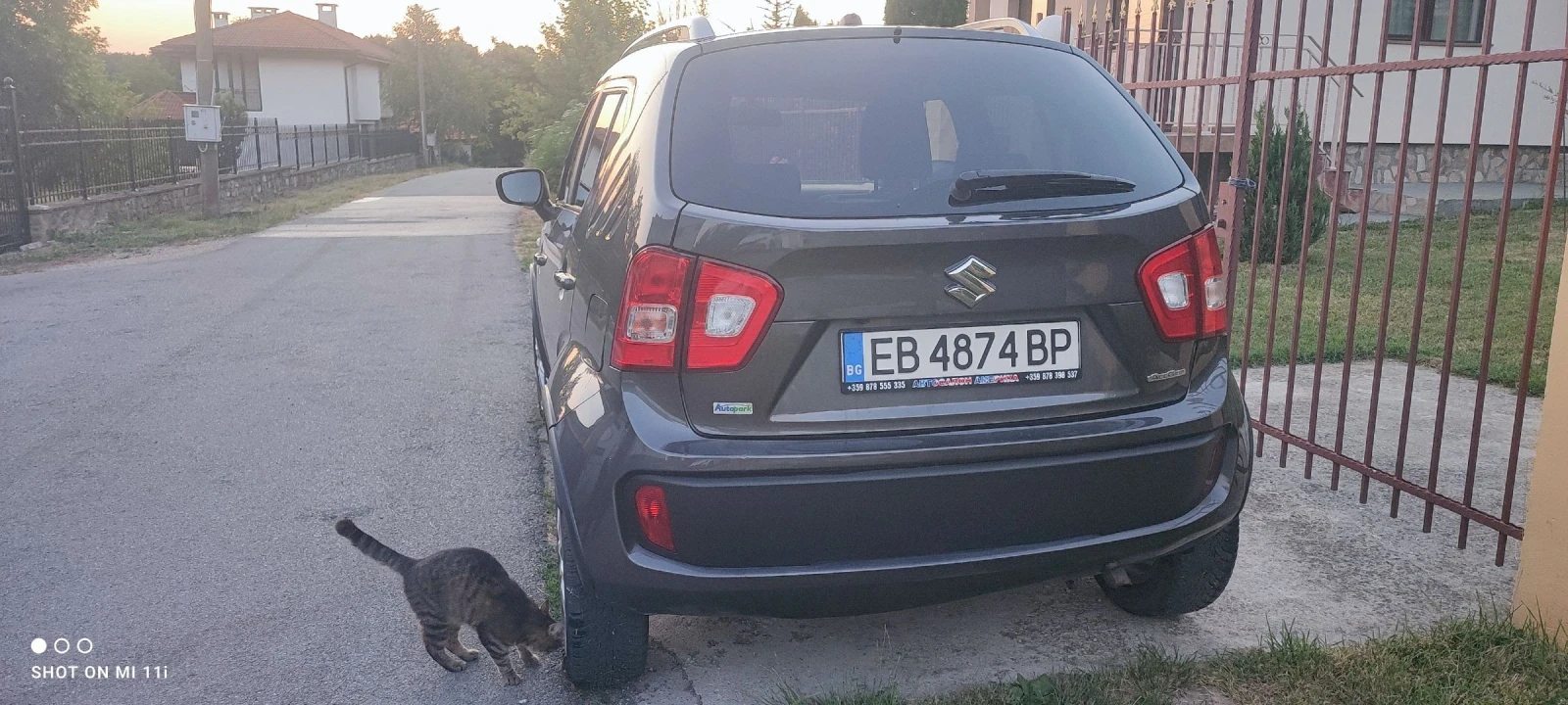 Suzuki Ignis  - изображение 8