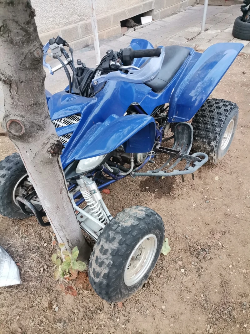 Yamaha Raptor, снимка 2 - Мотоциклети и мототехника - 48197666