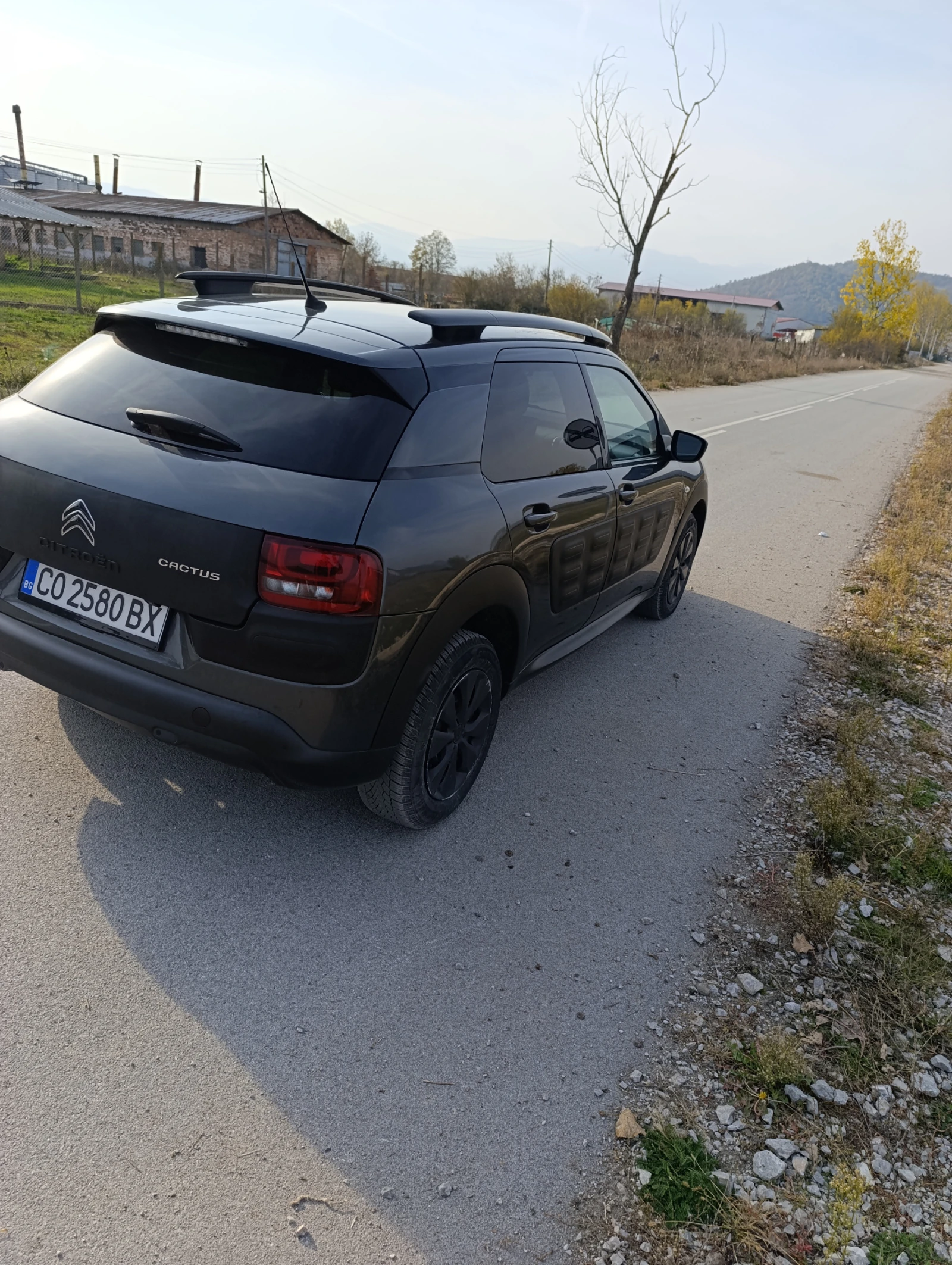 Citroen C4 Cactus 1, 6HDI - изображение 6