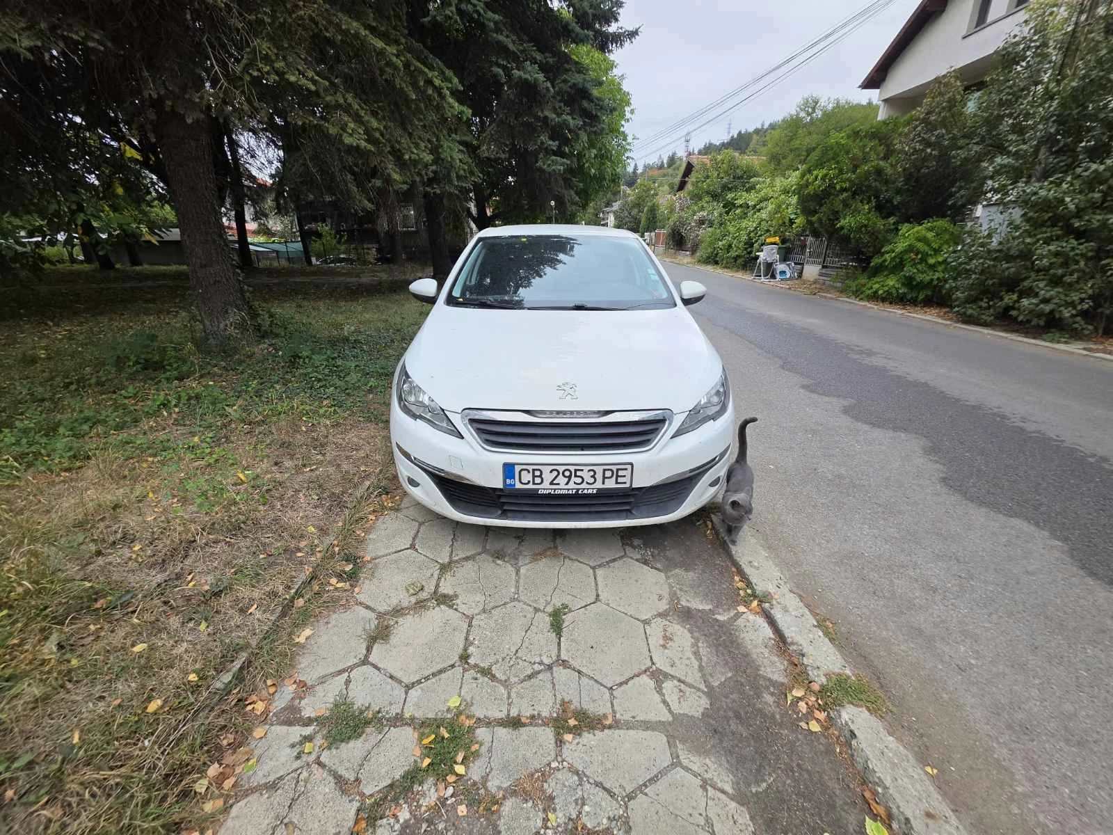 Peugeot 308