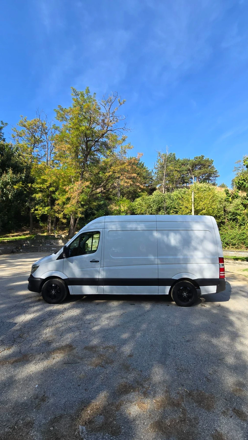 Mercedes-Benz Sprinter 316, снимка 6 - Бусове и автобуси - 56301580