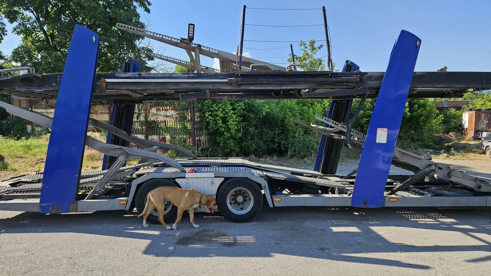 Scania P P 450 , снимка 9 - Камиони - 55413703