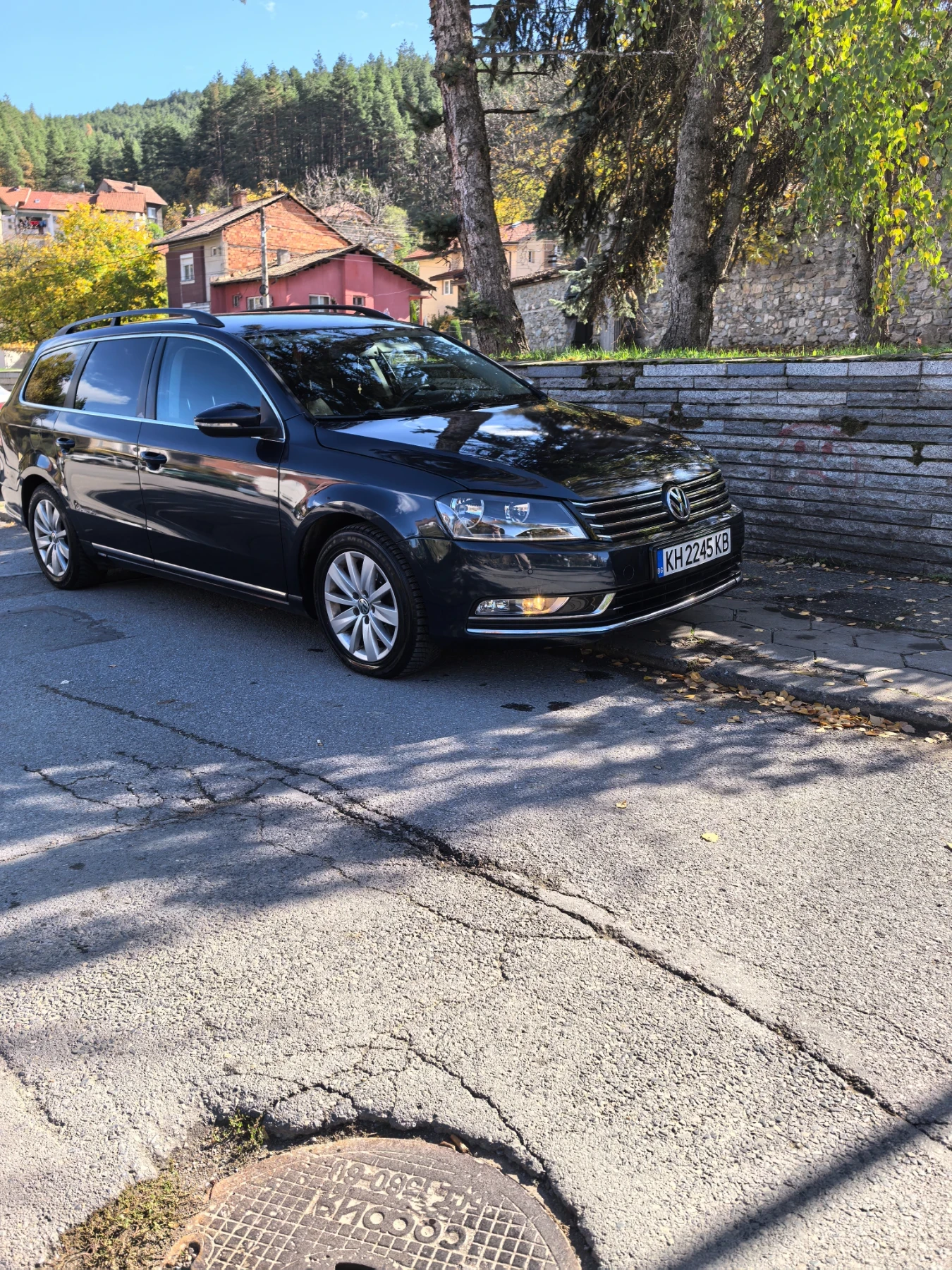 VW Passat  - изображение 6