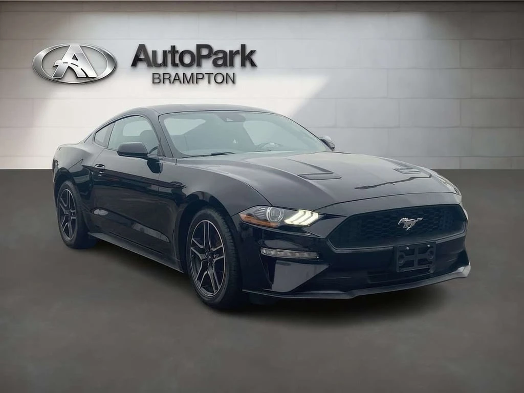 Ford Mustang * I4 Coupe * CARFAX * ЦЕНА ДО БГ - изображение 3