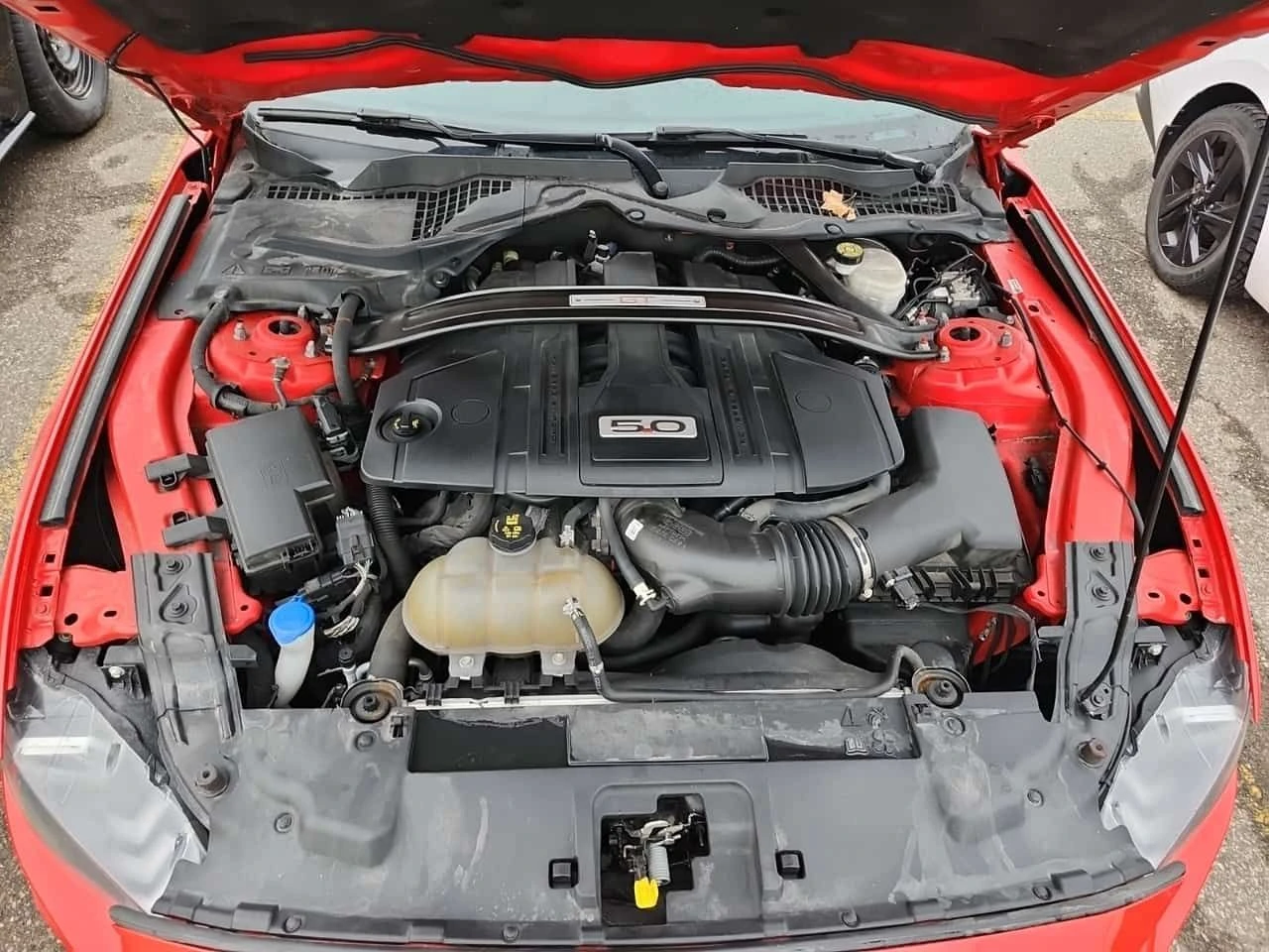 Ford Mustang * GT * CARFAX * БЕЗ ИНЦИДЕНТИ * , снимка 12 - Автомобили и джипове - 54267159