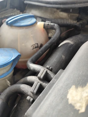 Skoda Octavia - 5200 € / 10170.32 лв. - 19909813 10