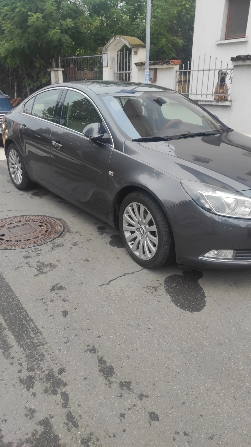 Opel Insignia, снимка 6 - Автомобили и джипове - 47852293