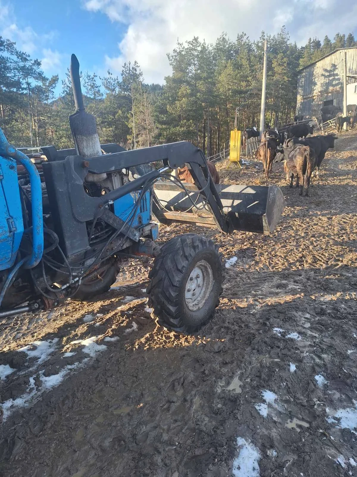 ������� ������ 1996 | Mobile.bg � ����������� 6