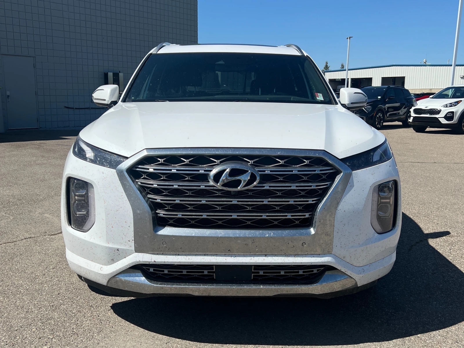 Hyundai Palisade Ultimate CARFAX АВТО КРЕДИТ  - изображение 2