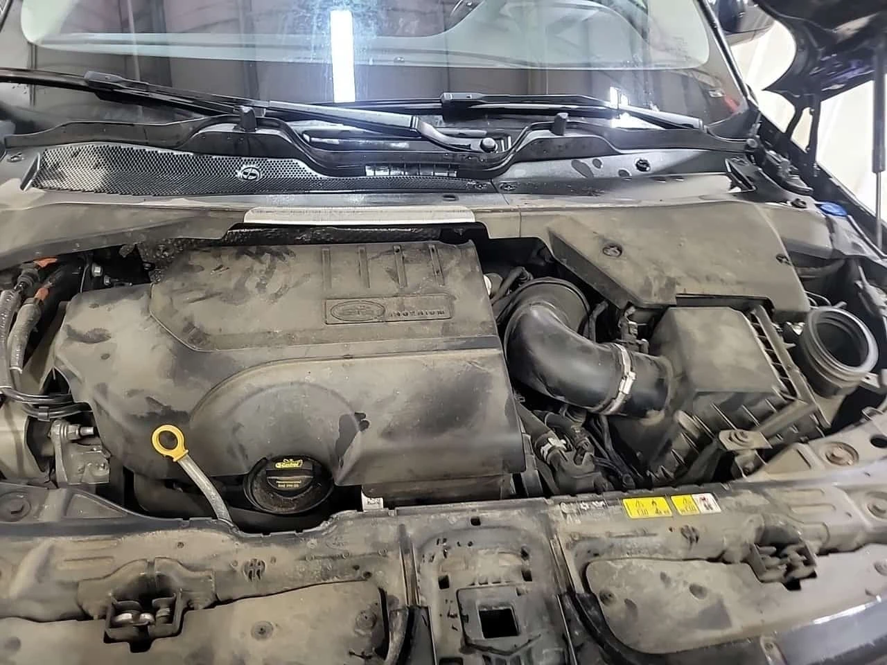 Land Rover Range Rover Evoque * SE * CARFAX * , снимка 16 - Автомобили и джипове - 56679827
