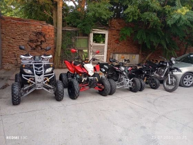     Shineray XY 200