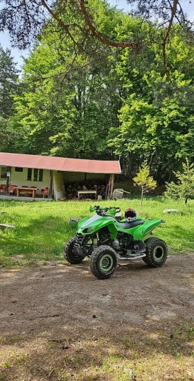  Kawasaki Kfx