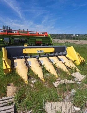      Fantini