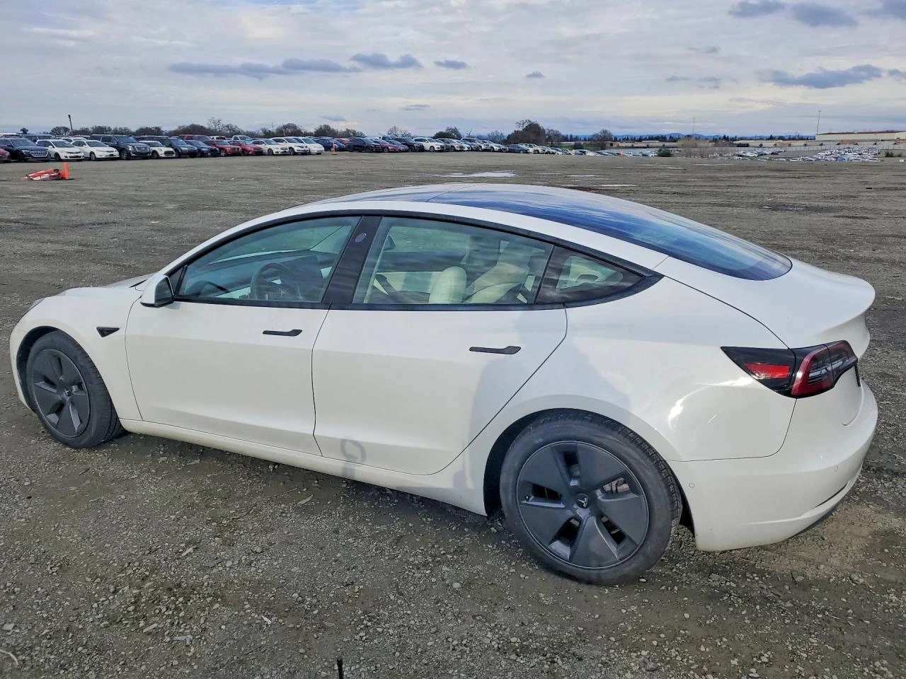 Tesla Model 3, снимка 2 - Автомобили и джипове - 54193211