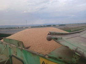������� ��� | Mobile.bg � ����� ������ 5