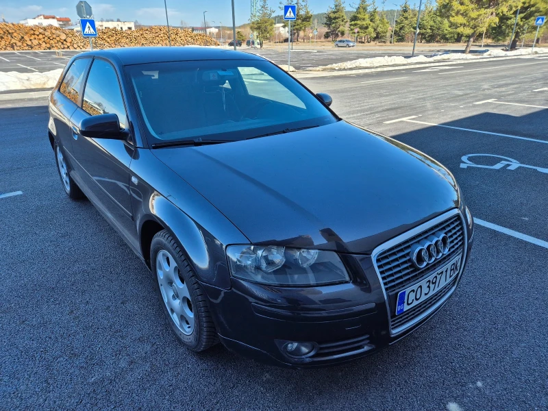 Audi A3 1.9 TDI , снимка 1 - Автомобили и джипове - 49419388