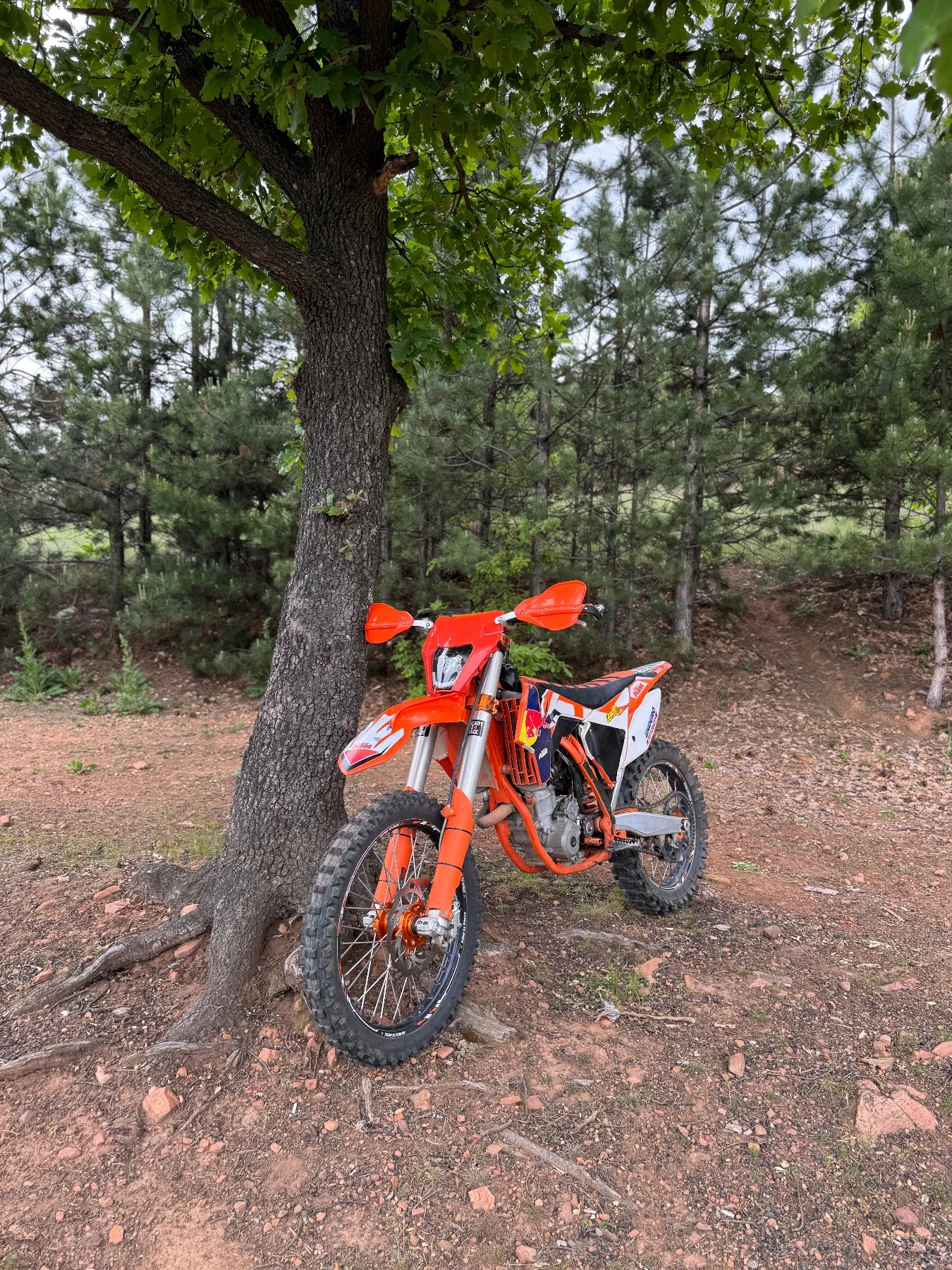 Ktm SX-F 350 - изображение 4