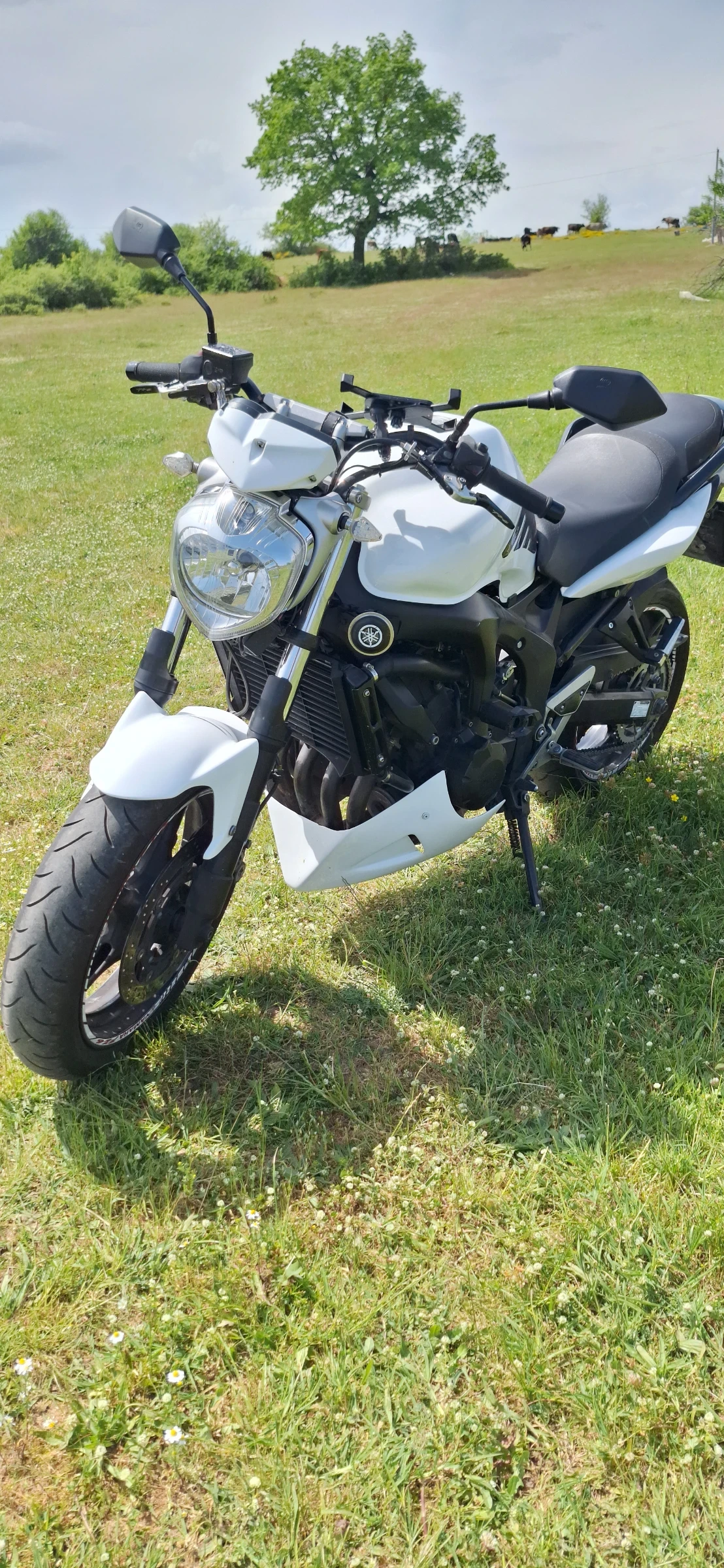 Yamaha FZ6N | Mobile.bg   1