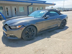 ������ Ford Mustang