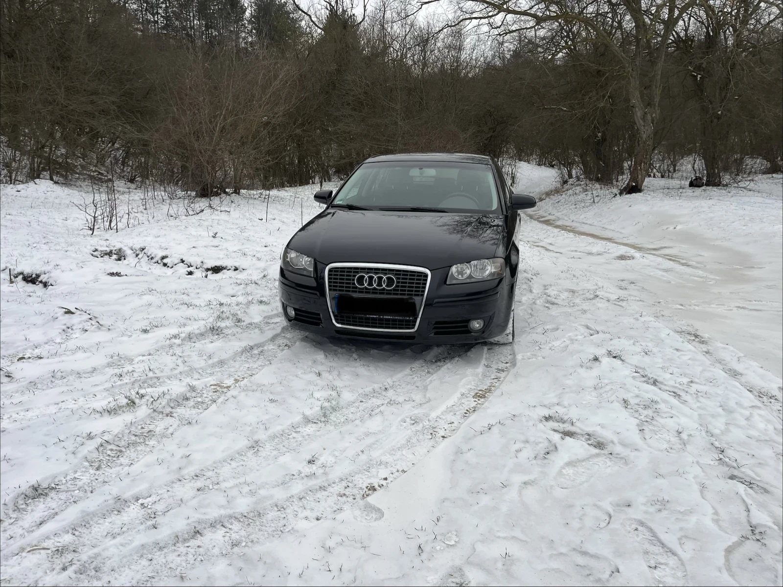 Audi A3 1, 9Tdi Sportback, снимка 1