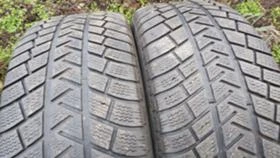      255/60R18