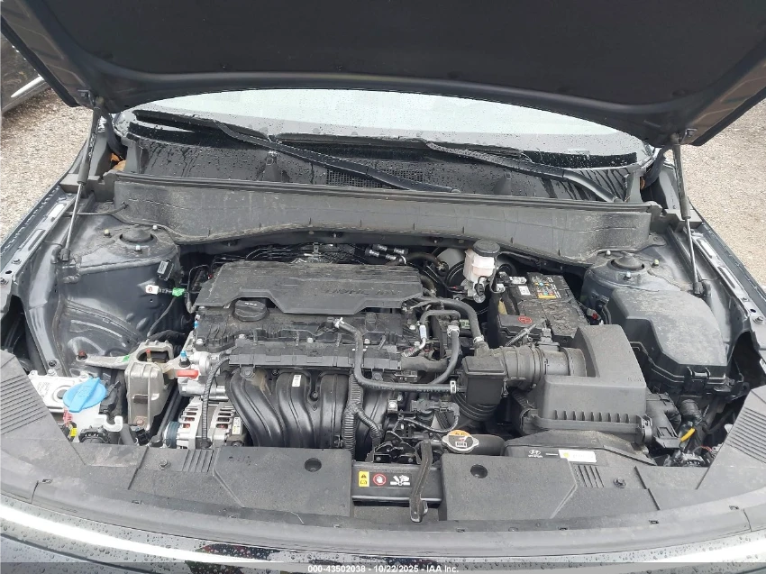 Hyundai Kona AWD* DIGITAL* �������* PANO* ������ | Mobile.bg � ����������� 11