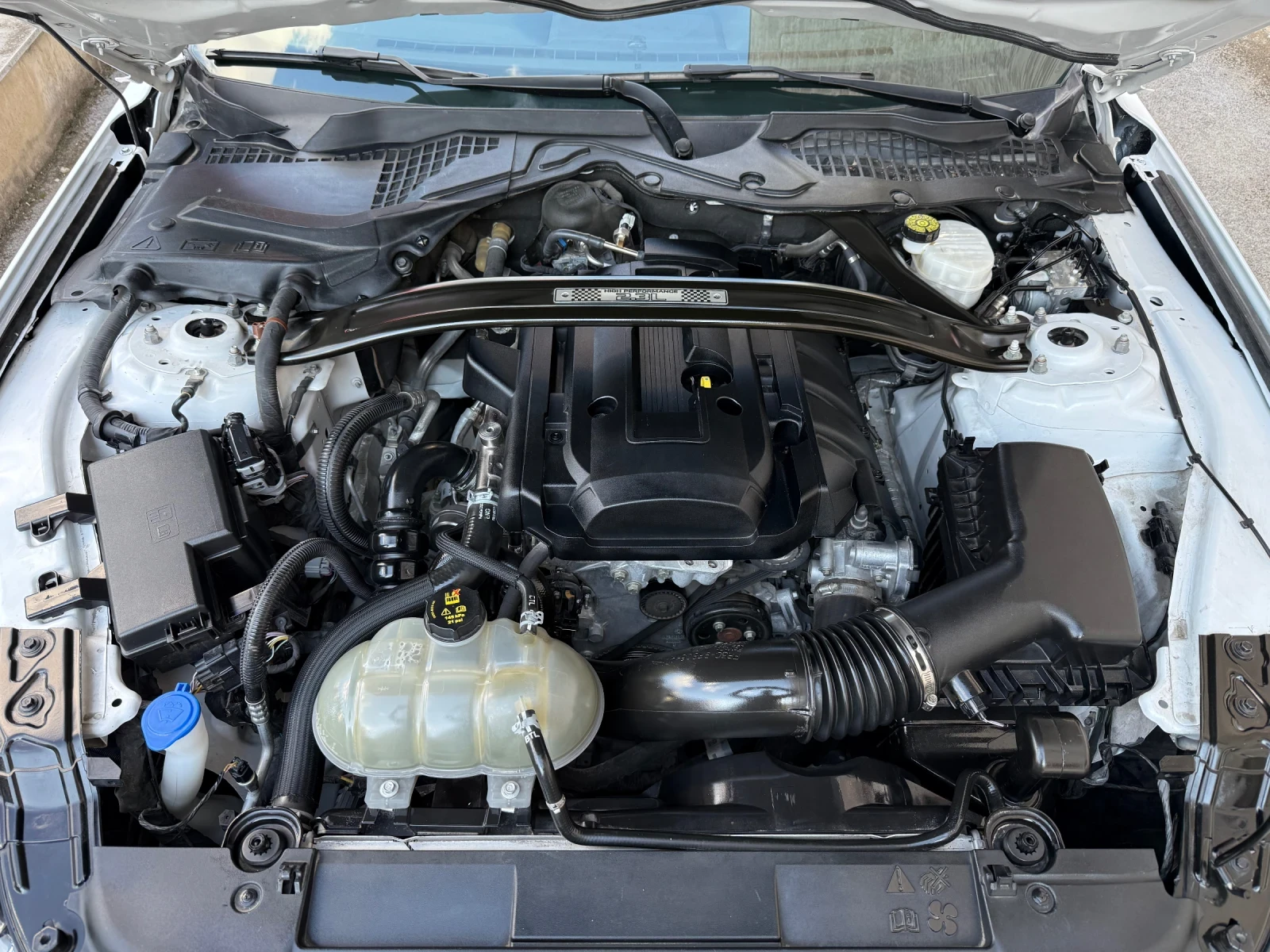 Ford Mustang 2.3 Ecoboost HPP / 50k км / НОВ ВНОС, снимка 16 - Автомобили и джипове - 53752423