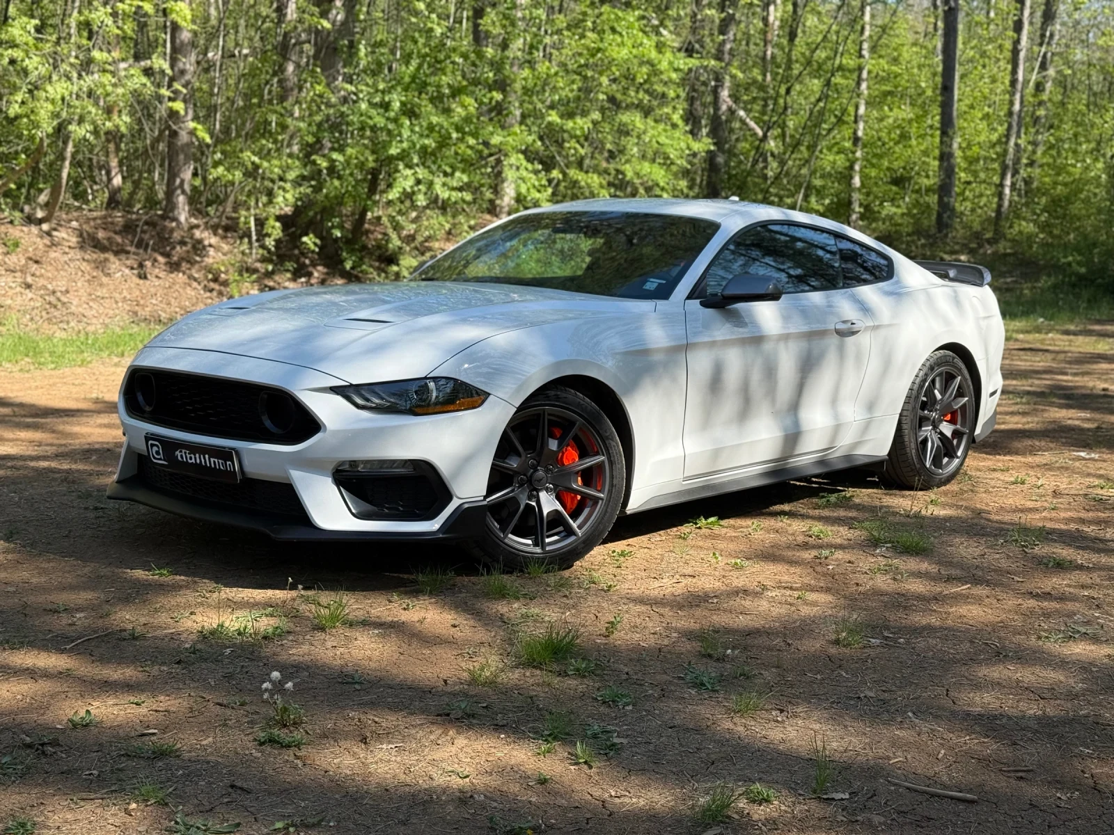 Ford Mustang 2.3 Ecoboost HPP / 50k км / НОВ ВНОС, снимка 2 - Автомобили и джипове - 53752423