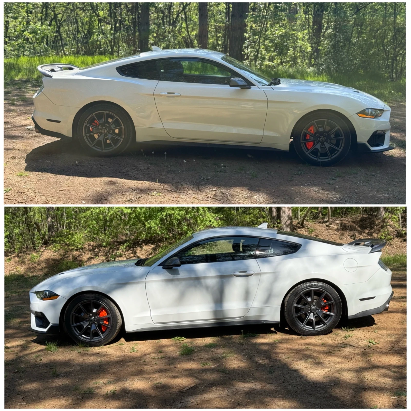 Ford Mustang 2.3 Ecoboost HPP / 50k км / НОВ ВНОС, снимка 7 - Автомобили и джипове - 53752423