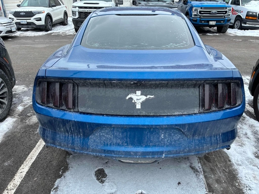 Ford Mustang * V6 * CARFAX * ���� �� �� | Mobile.bg � ����������� 5