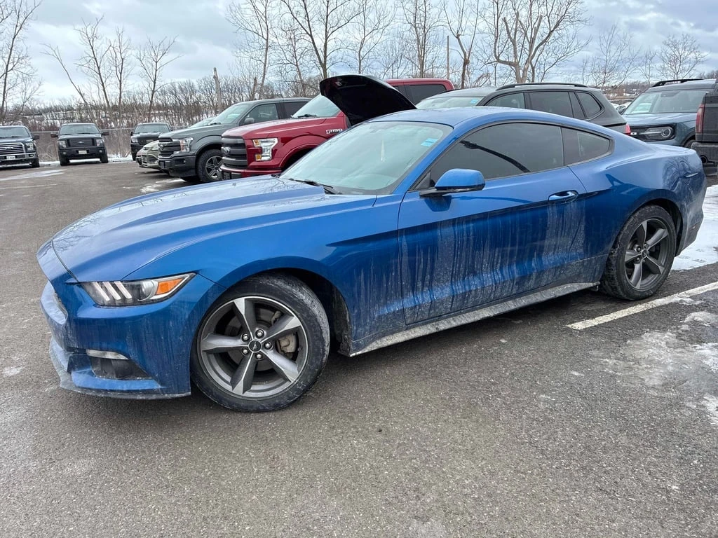 Ford Mustang * V6 * CARFAX * ���� �� �� | Mobile.bg � ����������� 3