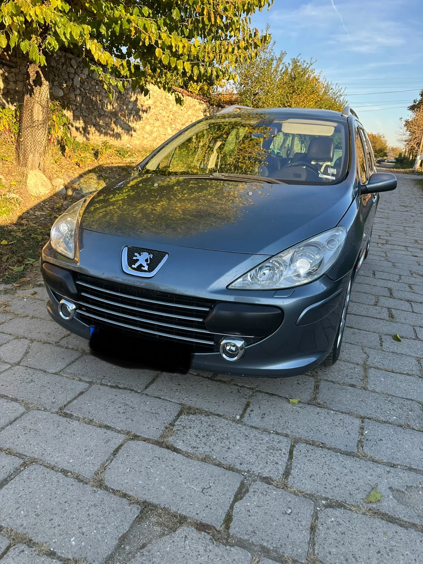 Peugeot 307 SW 2.0 140 коня Газ - изображение 2