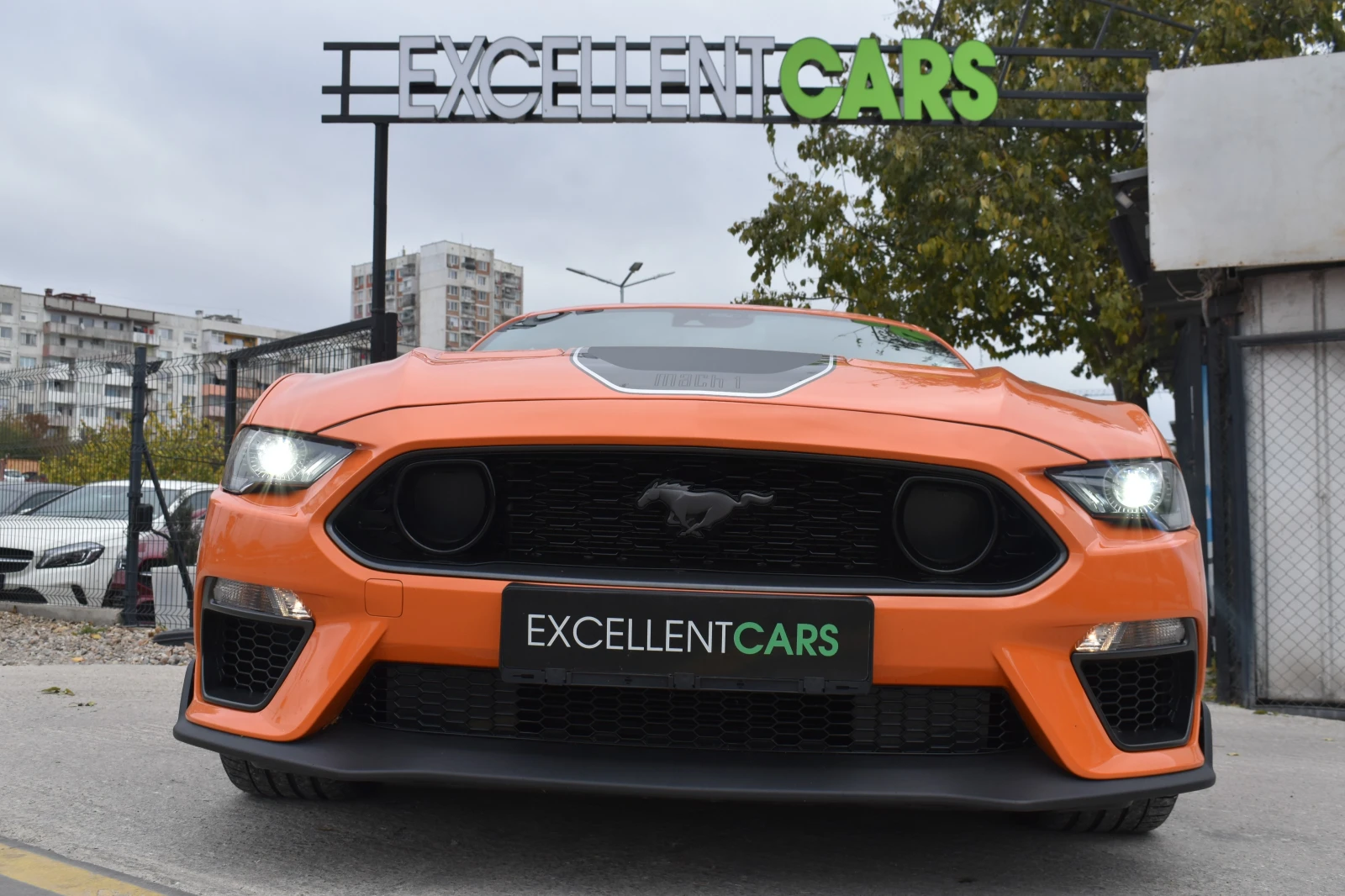 Ford Mustang 5.0i* MACH 1* FINAL-EDITION - изображение 7