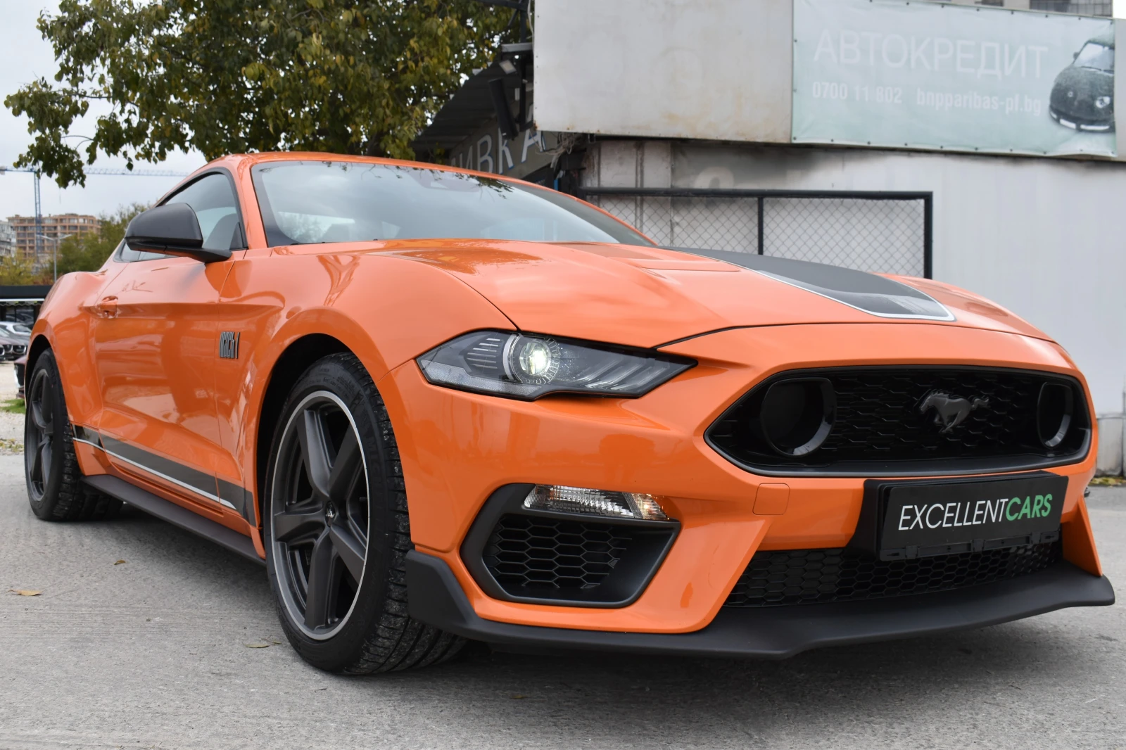 Ford Mustang 5.0i* MACH 1* FINAL-EDITION - изображение 5