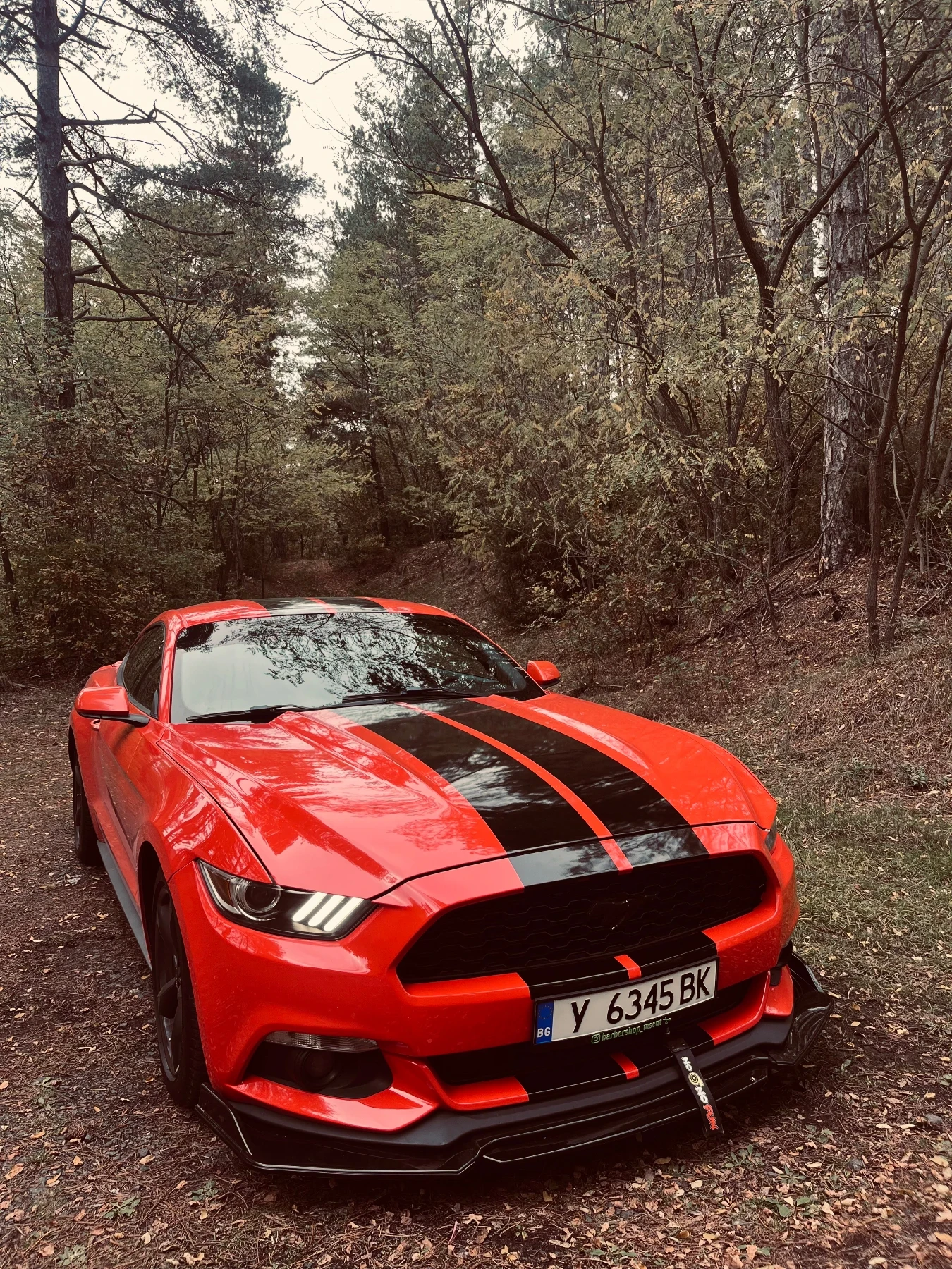 Ford Mustang  - изображение 2