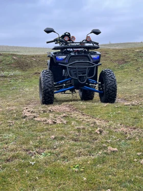 Telstar TS Akrapovic , снимка 2