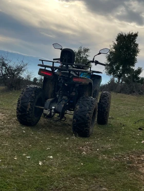 Telstar TS Akrapovic , снимка 10