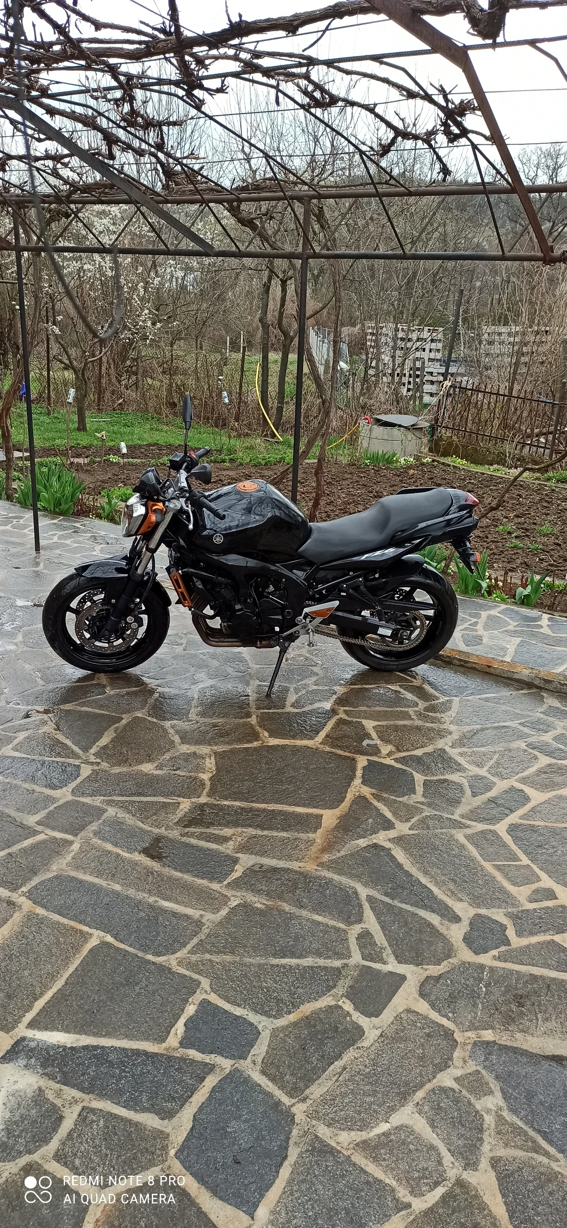 Yamaha FZ6 S2 - изображение 2