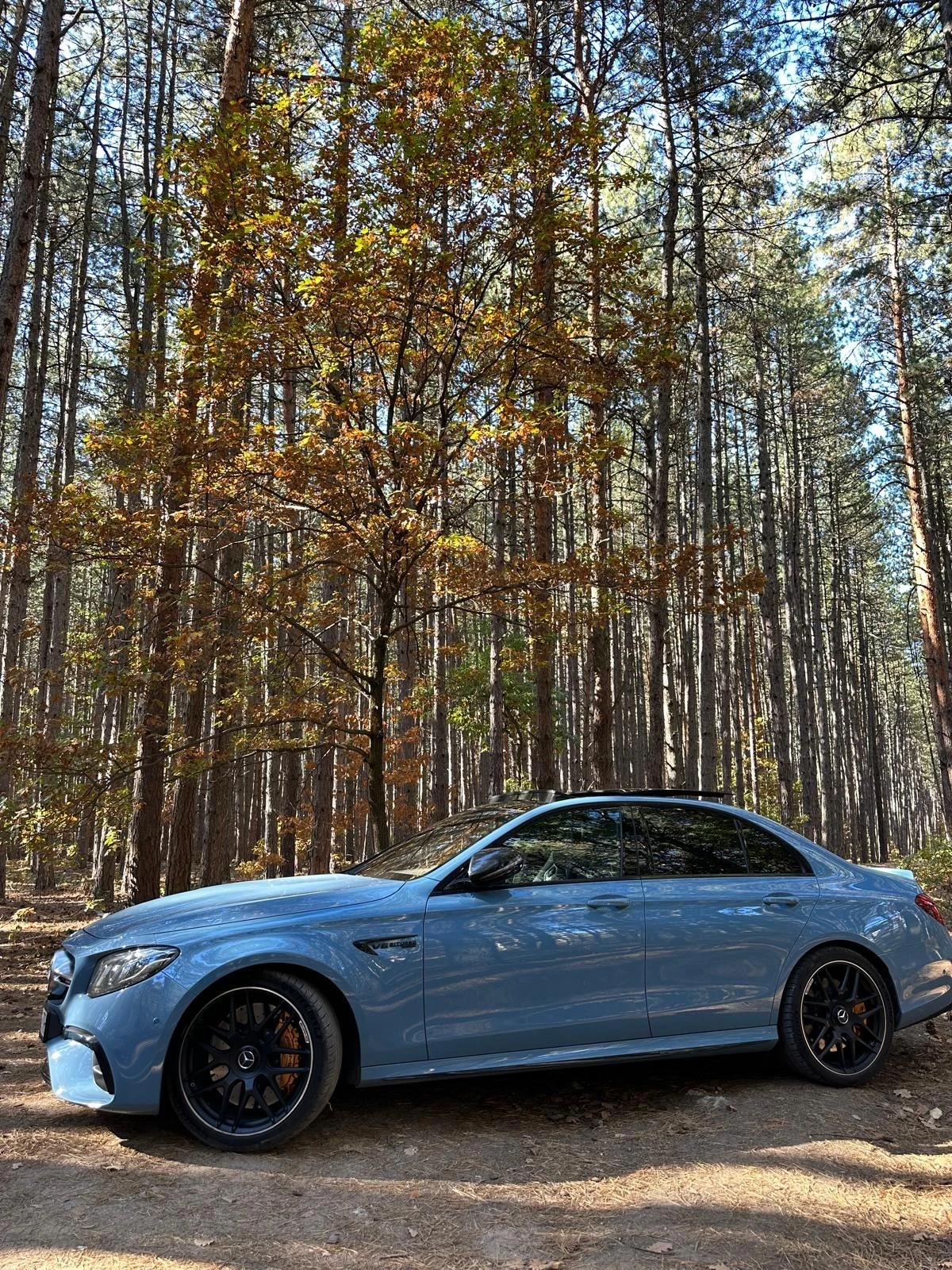 Mercedes-Benz E 63 AMG S - изображение 2