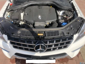 Mercedes-Benz ML 350 AMG Line | Mobile.bg    9