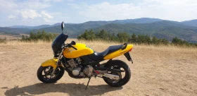 Honda Hornet CB 600 F, снимка 5